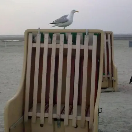 Weisse Robbe Διαμέρισμα *